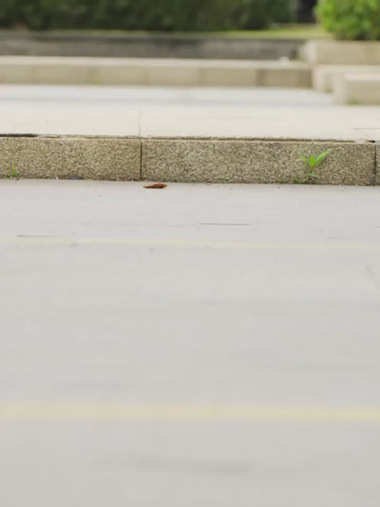 Men’s &amp; Women’s Low-Top Sneakers